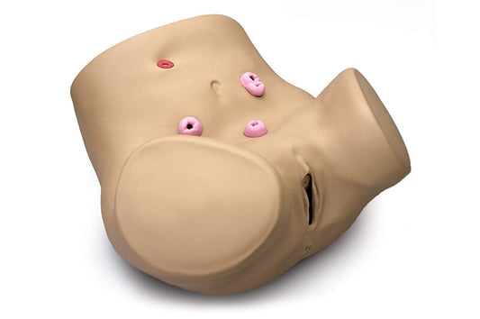 Ostomy Skills Trainer S230.2