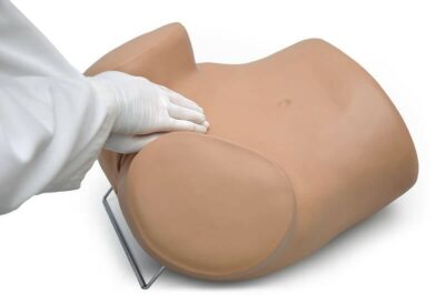 SIMA GYN/AID® Gynecologic Simulator (S503) 1