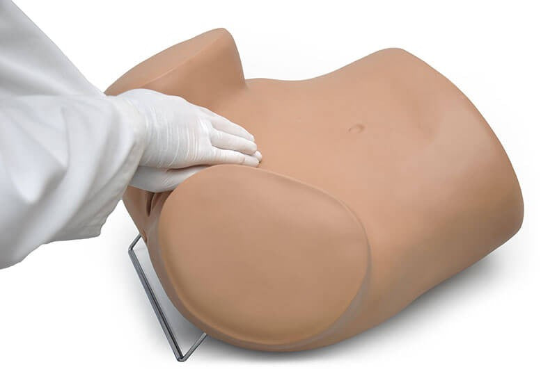 SIMA GYN/AID® Gynecologic Simulator (S503)