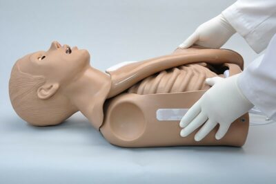 Simon S308 – CPR Skills Trainer Torso 4