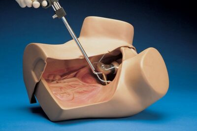 ZOE® S504.100 – Gynecological Skills Trainer 1