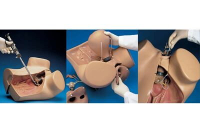 ZOE® S504.100 – Gynecological Skills Trainer 2