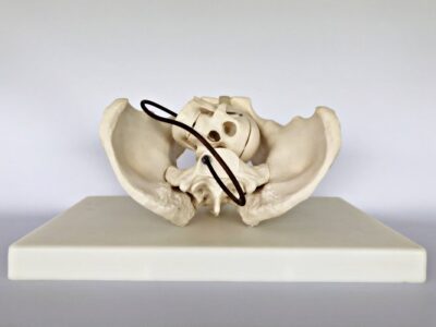 Birth Demonstration Model IT-113 2