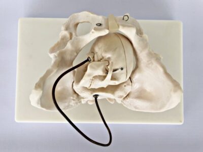 Birth Demonstration Model IT-113 3