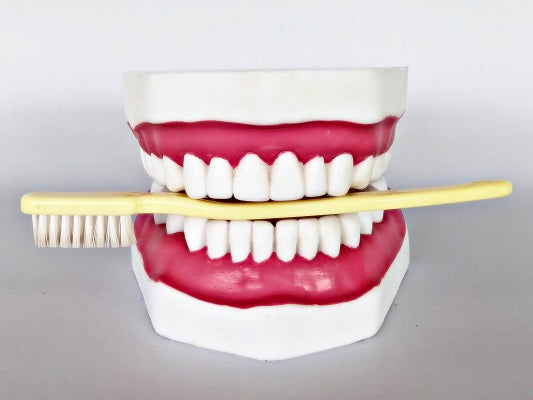 Dental Care Model IT068