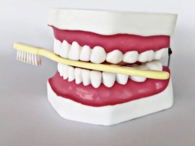 Dental Care Model IT068 2