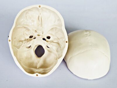 Life Size Skull IT006 4