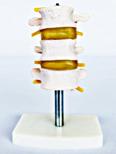 Lumbar Set (3 Pcs) IT017