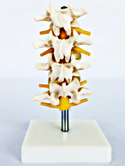 Lumbar Set (4 Pcs) IT018 3