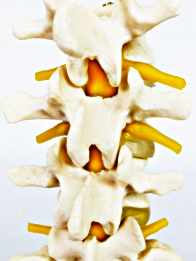 Lumbar Set (4 Pcs) IT018 1