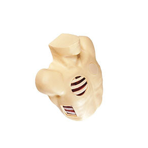Pleural Drainage Simulator