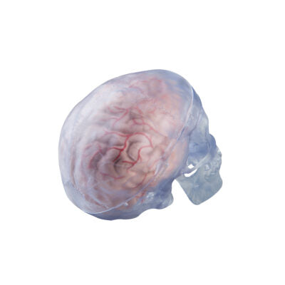 Classic- Skull  Transparent A20/T 2