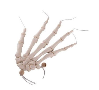 Hand Skeleton Loosely Threaded A40/2