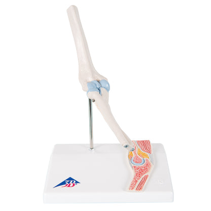 Mini Elbow Joint With Cross A87/1