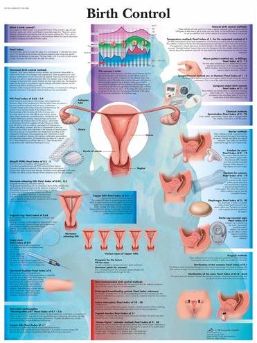 Birth Control Chart VR1591