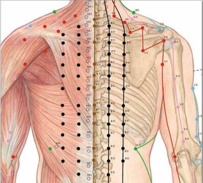 Body Acupuncture Chart VR1820 3
