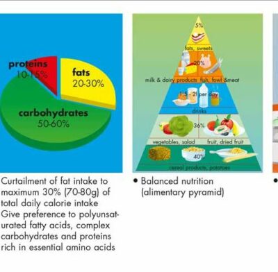 Cholesterol Chart VR1452 1