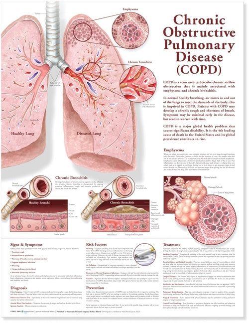 Chronic Obstructive Pulmonary Disease Anatomical Chart 9783