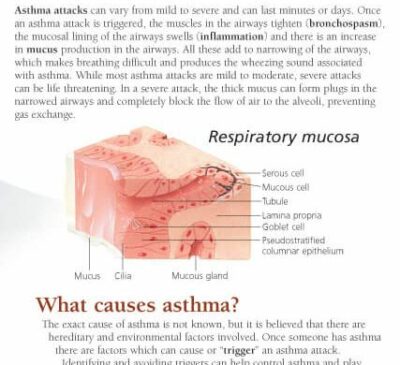 COPD & Asthma 1355 2