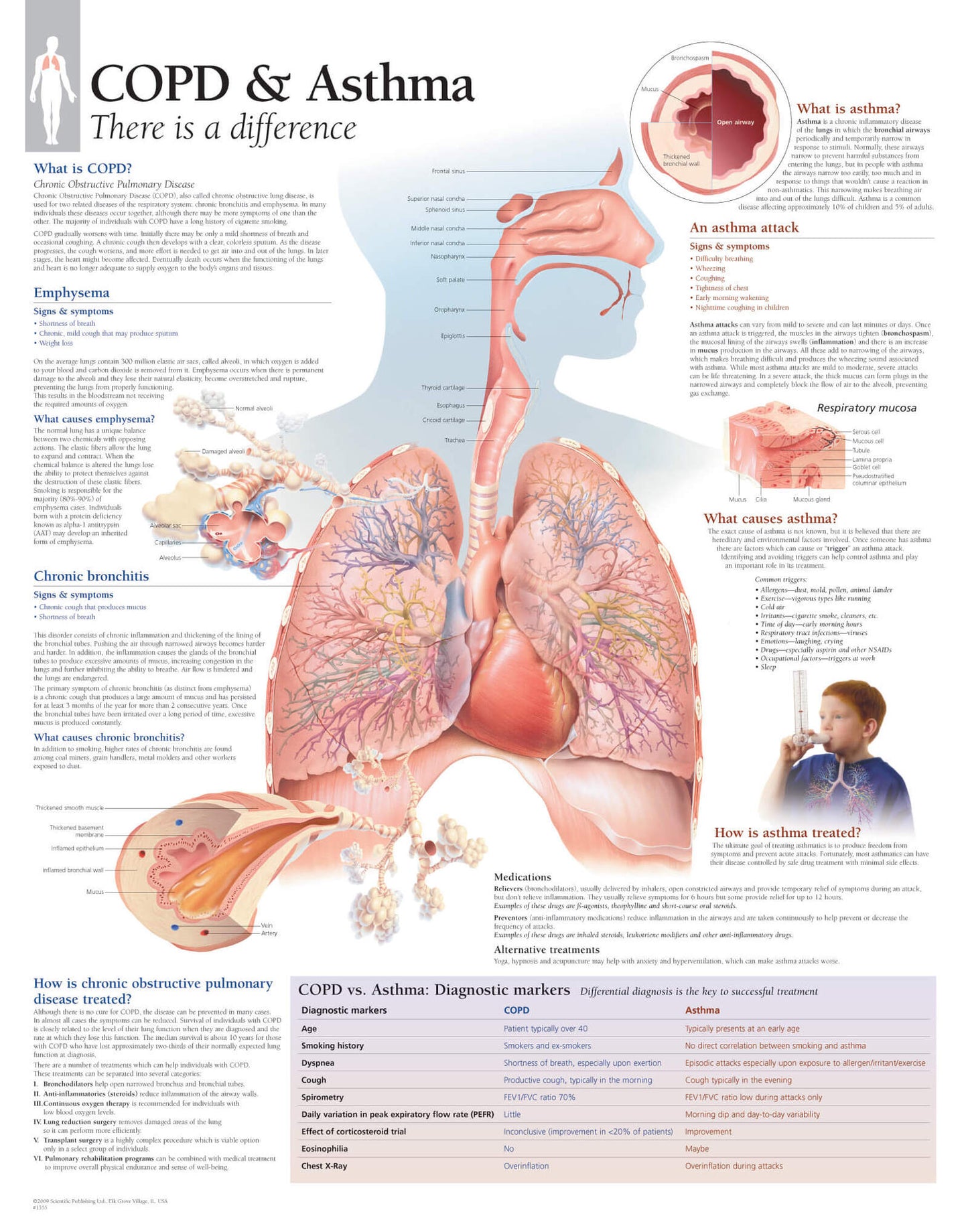 COPD & Asthma 1355