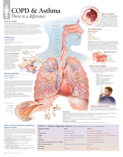 COPD & Asthma 1355