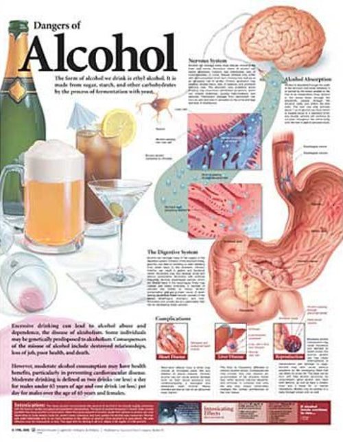 Dangers of Alcohol Anatomical Chart 9696