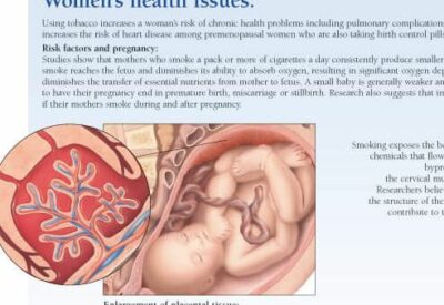 Effects of Smoking 1352 2