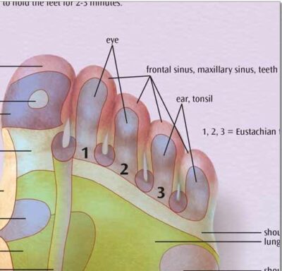 Foot Reflex Zone Massage Chart VR1810 2
