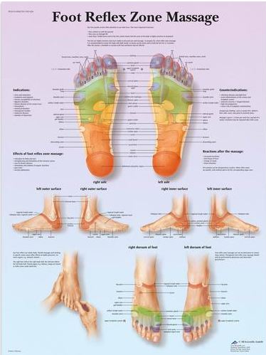 Foot Reflex Zone Massage Chart VR1810