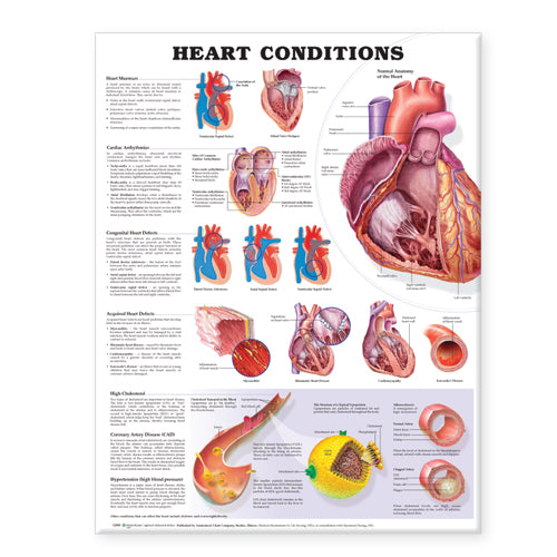 Heart Conditions 8824