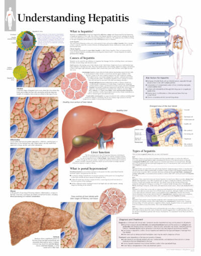 Hepatitis 1950 1