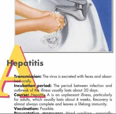 Hepatitis Chart VR1435 2