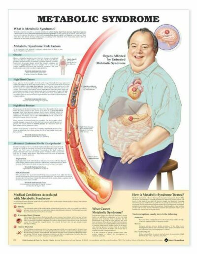 Metabolic Syndrome 1