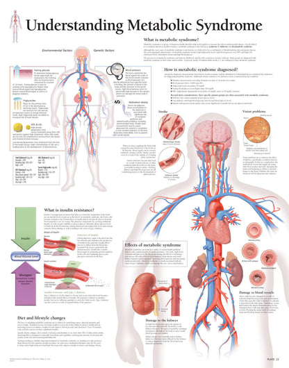 Metabolic Syndrome 1654
