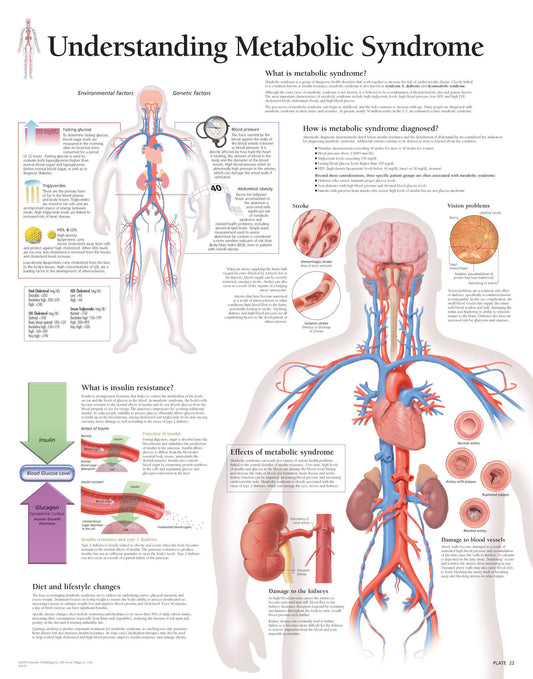 Metabolic Syndrome 1654