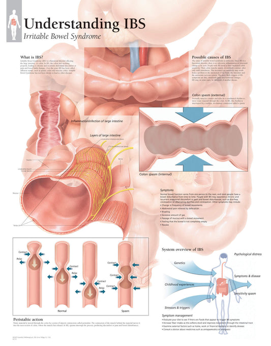 Irritable Bowel Syndrome 1551
