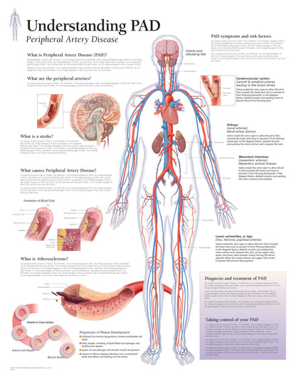 Peripheral Artery Disease (PAD) 1655