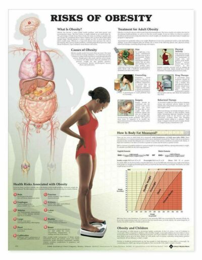 Risks Of Obesity 1
