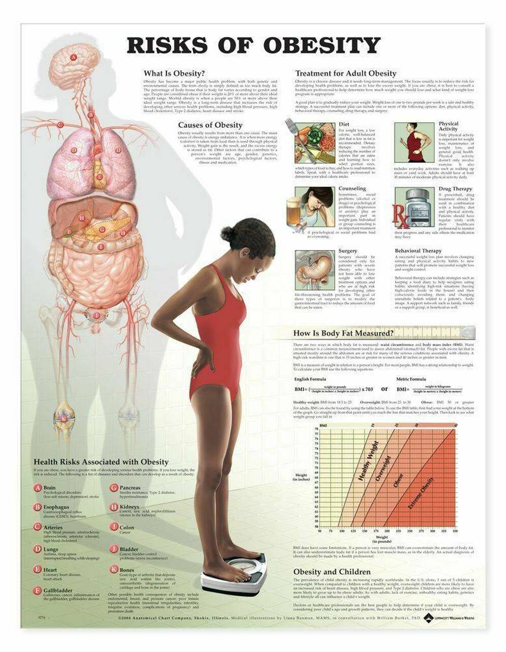 Risks Of Obesity