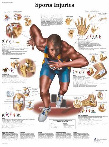 Sports Injuries Chart VR1188