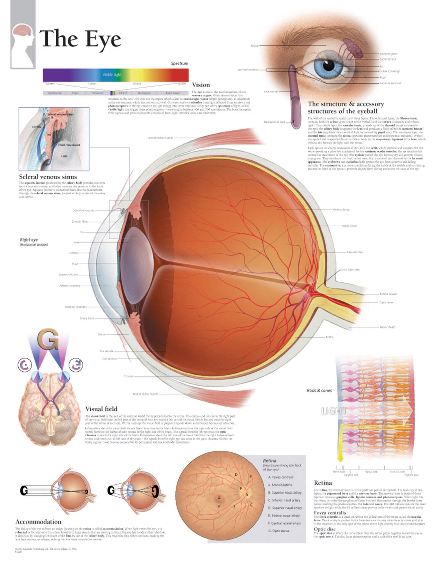 The Eye 2200