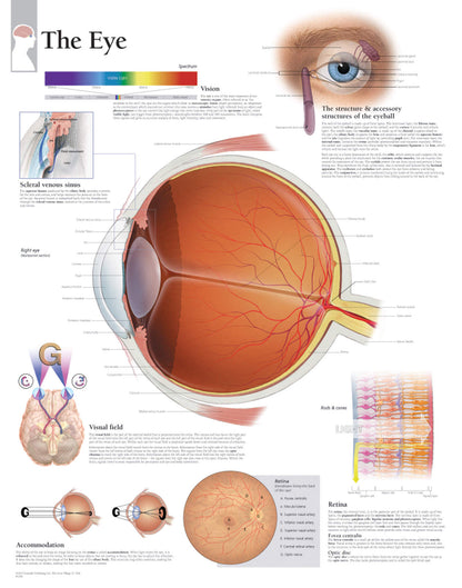 The Eye 2200