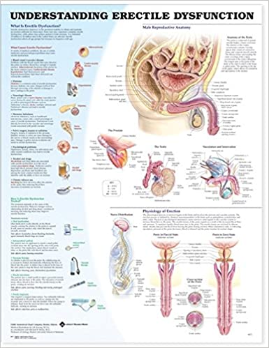 Understanding Erectile Dysfunction