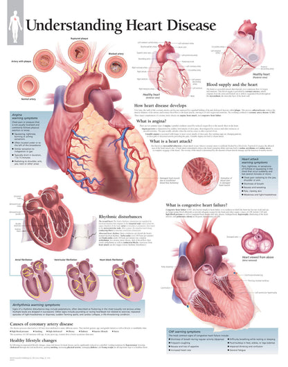 Understanding Heart Disease 1454