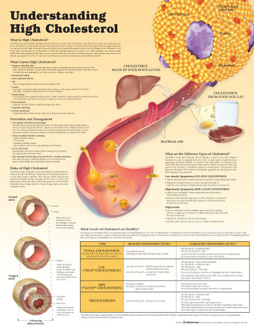 Understanding High Cholesterol 9103
