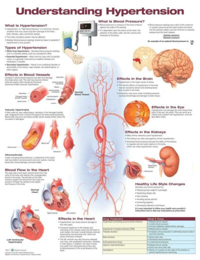 Understanding Hypertension 1