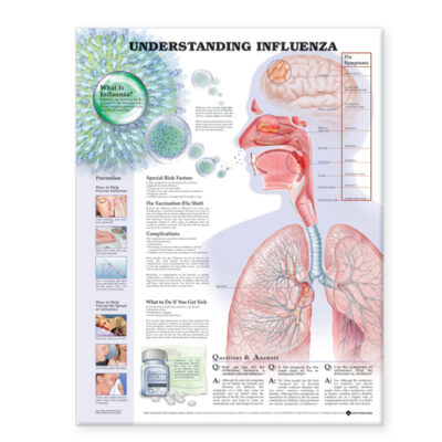 Understanding Influenza 8859 1