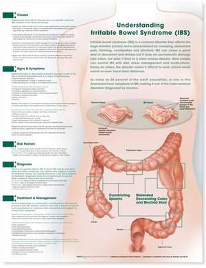 Understanding Irritable Bowel Syndrome