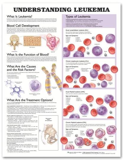 Understanding Leukemia Anatomical Chart 9761