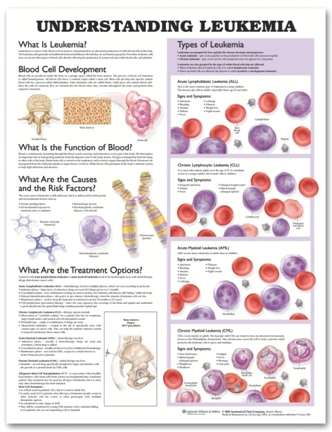 Understanding Leukemia Anatomical Chart 9761